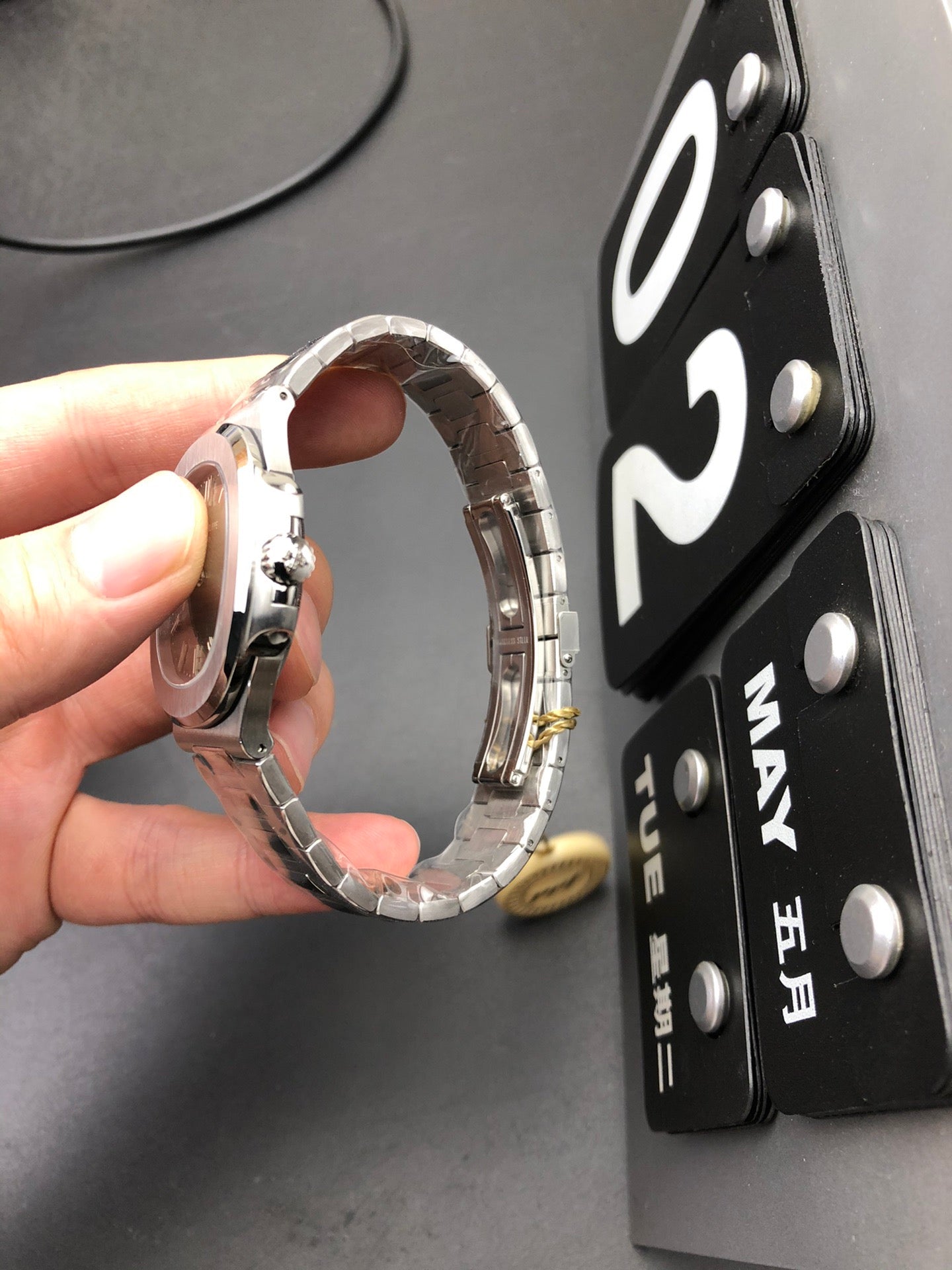 綠鸚鵡螺